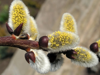 Similar image 371191