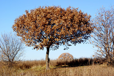 Similar image 371199