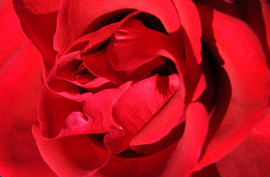 Similar image 371201