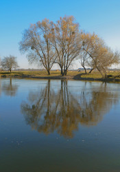 Similar image 371210