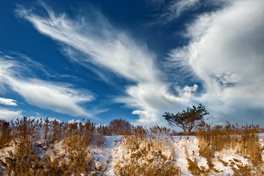 Similar image 371230