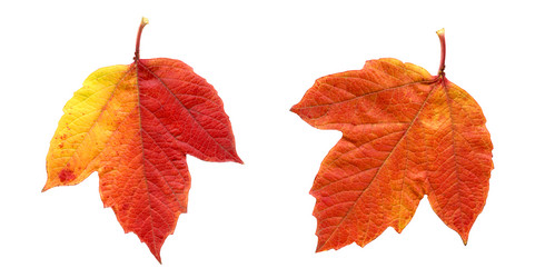 Similar image 371322