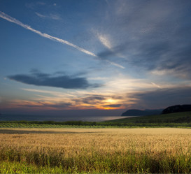 Similar image 371327