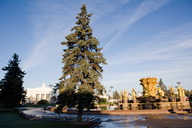 Similar image 371404