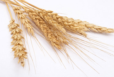 Similar image 371472