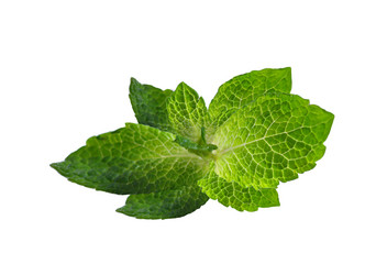 Similar image 371488