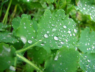 Similar image 371511