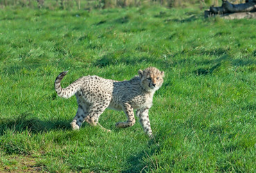 Similar image 371533