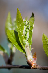 Similar image 371536