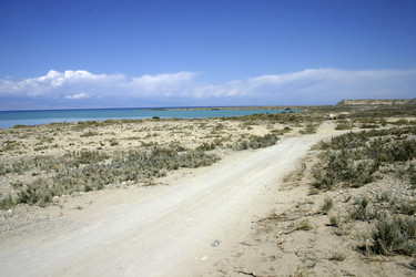 Similar image 371537