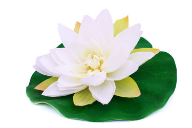 Similar image 371539