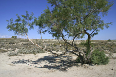 Similar image 371542