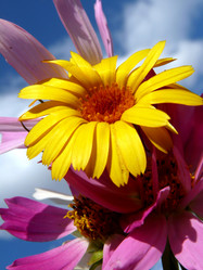 Similar image 371572