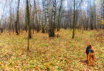 Similar image 371805