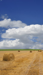 Similar image 371847