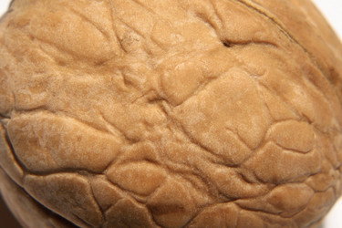 Similar image 372019