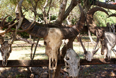 Similar image 372173