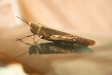 Similar image 372174