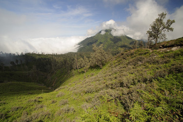 Similar image 372179