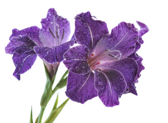 Similar image 372186