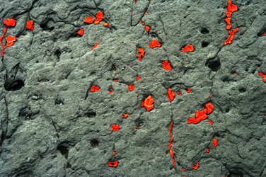 Similar image 372219