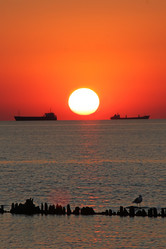 Similar image 372232