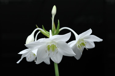 Similar image 372486