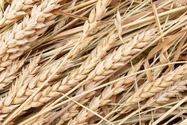 Similar image 372488