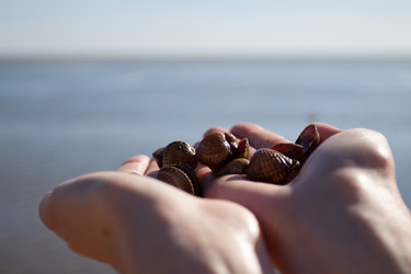 Similar image 372489