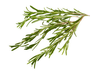 Similar image 372509