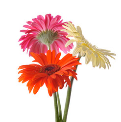 Similar image 372765