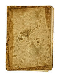 Similar image 372780