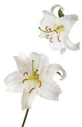 Similar image 372800