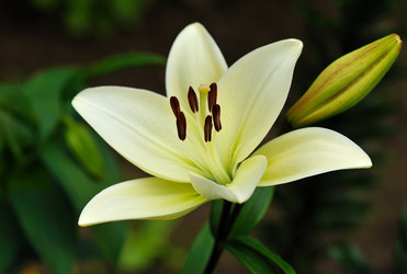 Similar image 372802