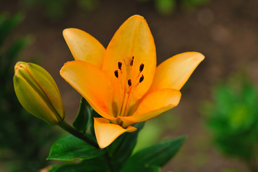 Similar image 372807