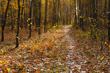 Similar image 372819