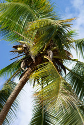 Similar image 372996