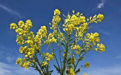 Similar image 373008