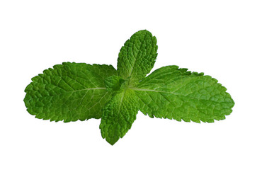 Similar image 373019