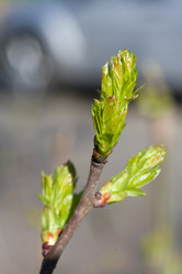 Similar image 373086