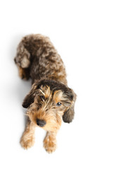 Similar image 373097