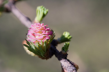 Similar image 373130