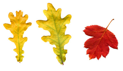 Similar image 373159