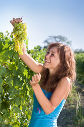 Similar image 373336