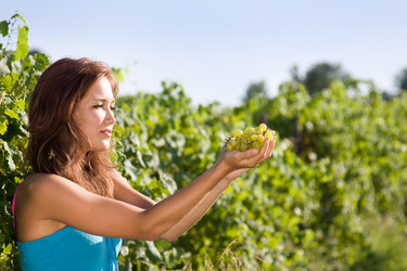 Similar image 373340