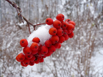 Similar image 373356