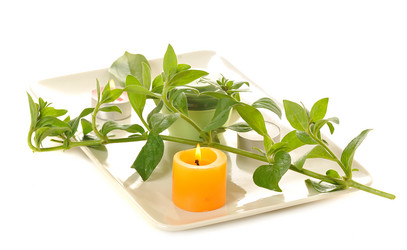 Similar image 373419