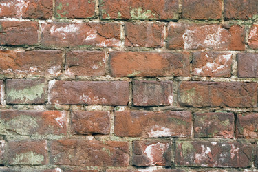 Similar image 373496