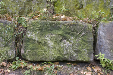 Similar image 373505