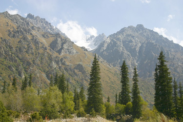 Similar image 373511